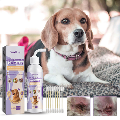 🐾Stop Ear Odor & Itching Fast — The Vet-Trusted Natural Solution for Pets