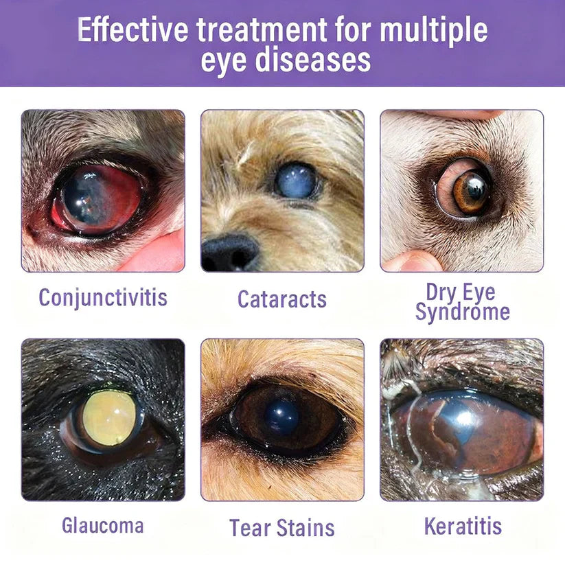 👩‍⚕️ Nexisify® EyeRelief Pet Drops — FDA Approved | Safe, Gentle & Effective for Redness, Dryness & Irritation 🐕🐾
