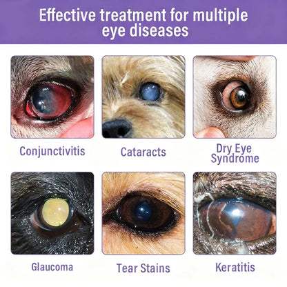 👩‍⚕️ Nexisify® EyeRelief Pet Drops — FDA Approved | Safe, Gentle & Effective for Redness, Dryness & Irritation 🐕🐾