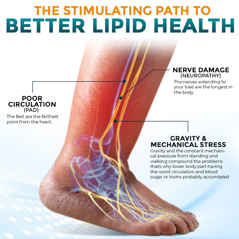 🧬 flysmus® Metformin Nodular Acupoint Stimulating Patch 🧑‍⚕️ Treats Diabesity, Obesity, High Blood Sugar Level