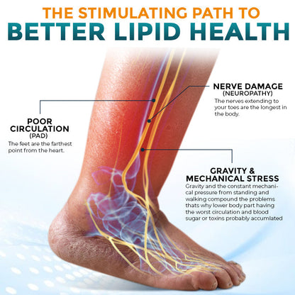 🧬 flysmus® Metformin Nodular Acupoint Stimulating Patch 🧑‍⚕️ Treats Diabesity, Obesity, High Blood Sugar Level