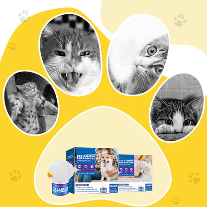 🐾Clinically Proven Way to Calm Your Dog and Prevent Stress-Related Accidents