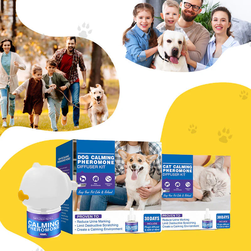 🐾Clinically Proven Way to Calm Your Dog and Prevent Stress-Related Accidents