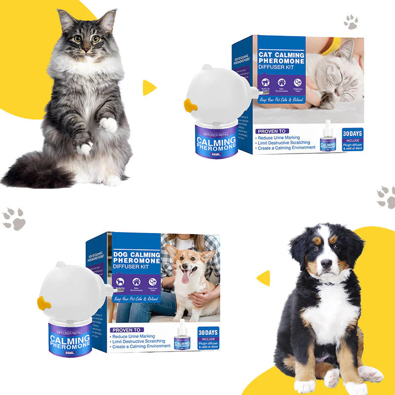 🐾Clinically Proven Way to Calm Your Dog and Prevent Stress-Related Accidents