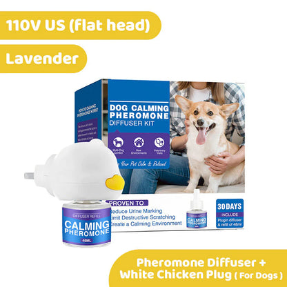 🐾Clinically Proven Way to Calm Your Dog and Prevent Stress-Related Accidents